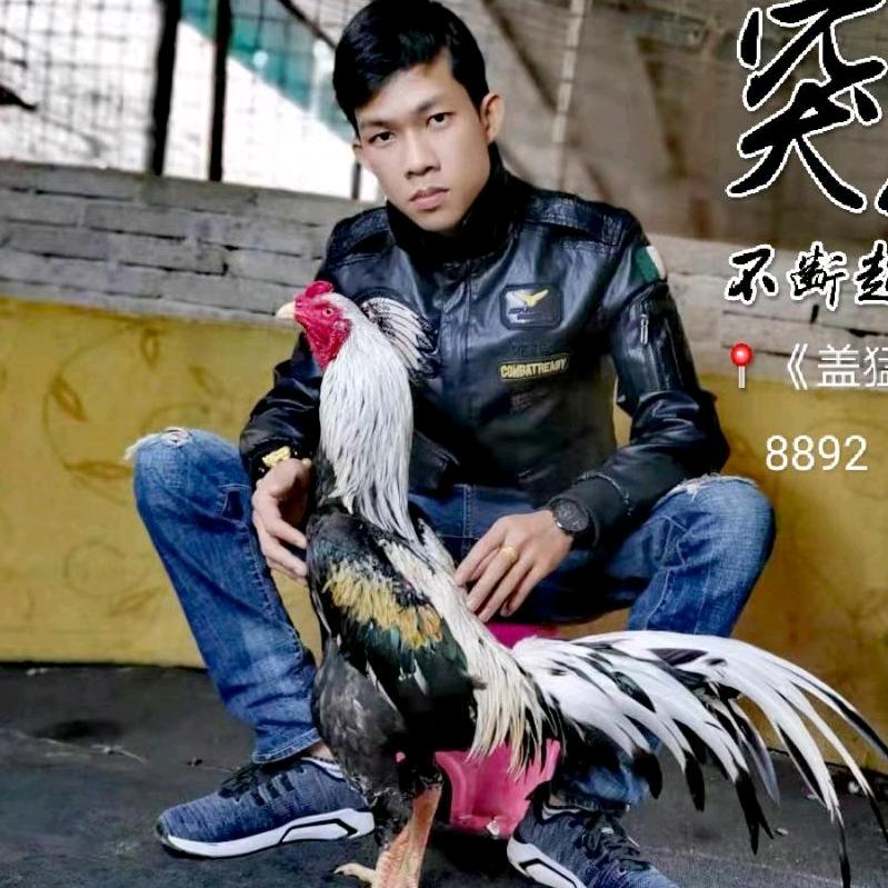 《盖猛龙农场》岩罕旺