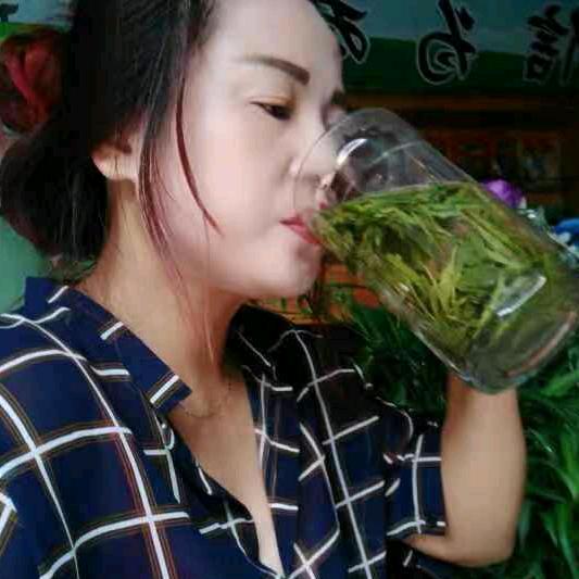 七仙女有美茶庄