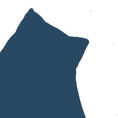 胖大海
