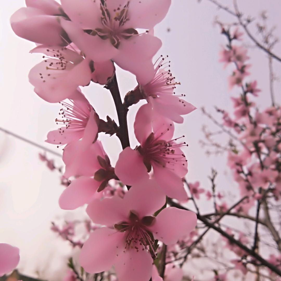 碧水佳人《拒绝私聊》