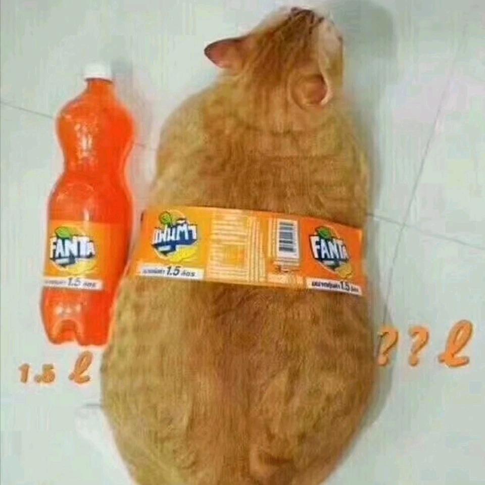 大芬达