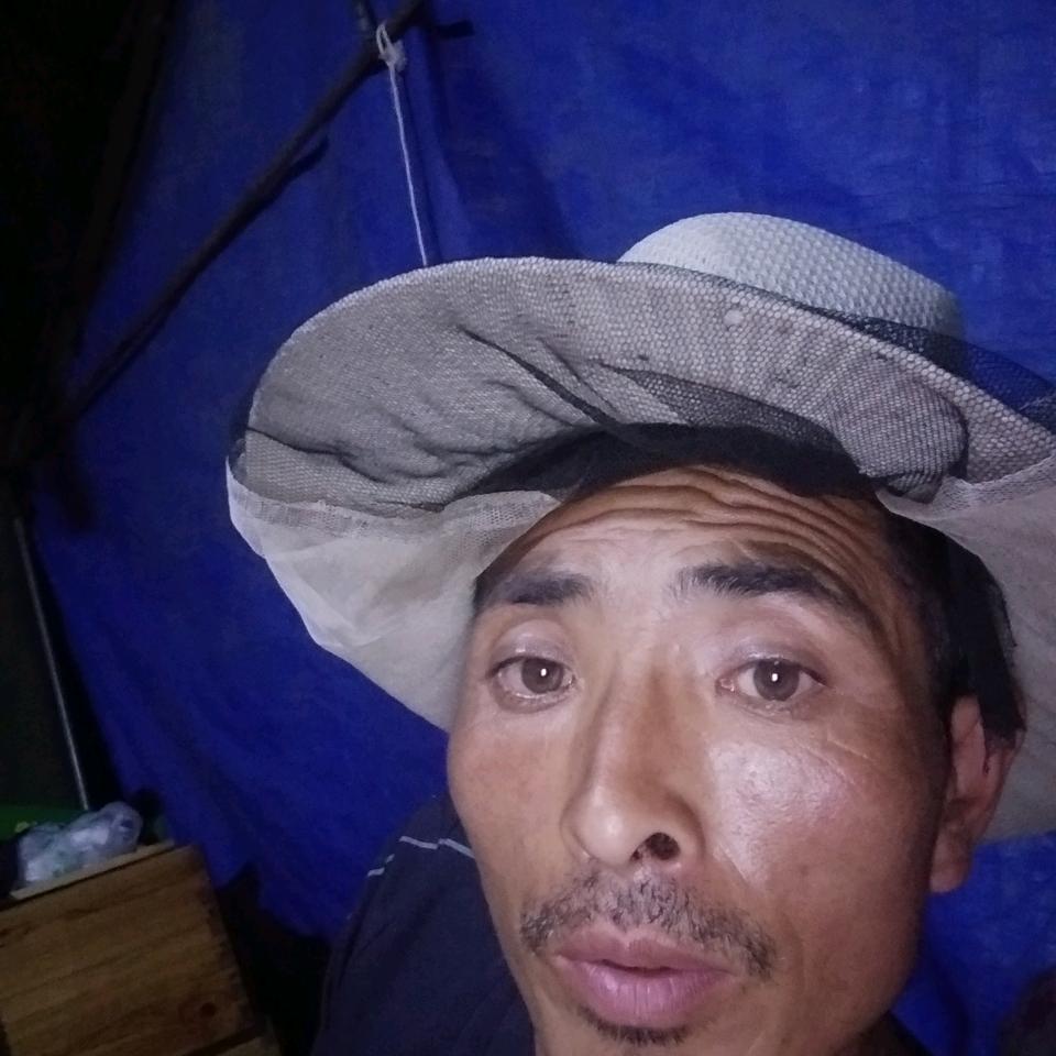 李亮养蜂人