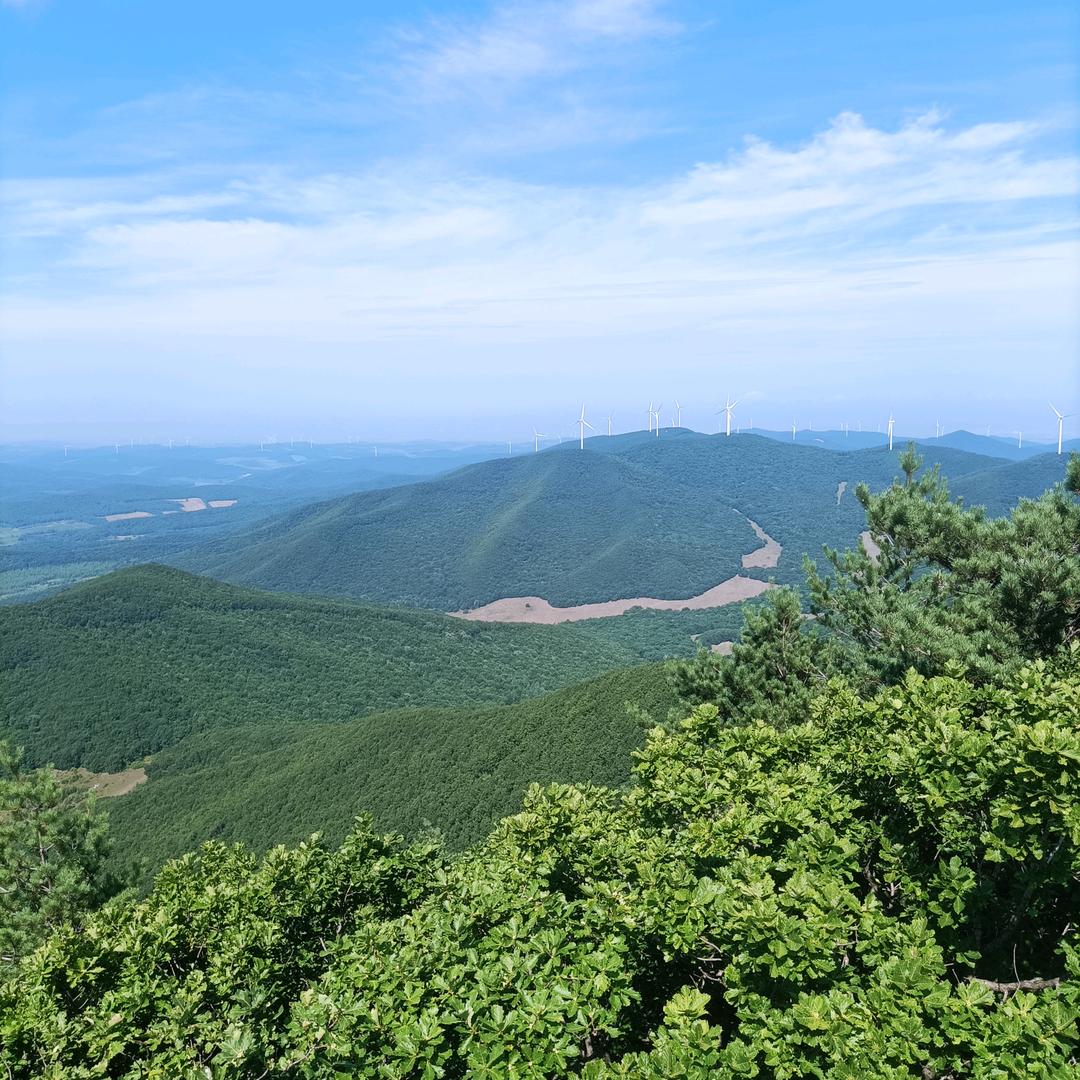 小胖哒