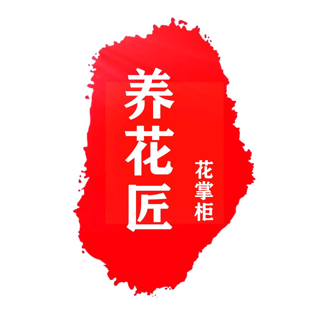 养花✔掌柜