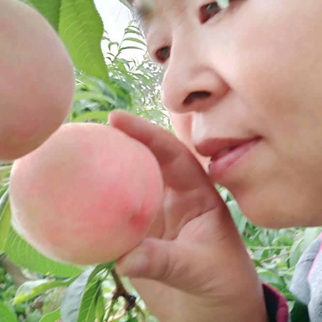 玲麻的一亩三分地