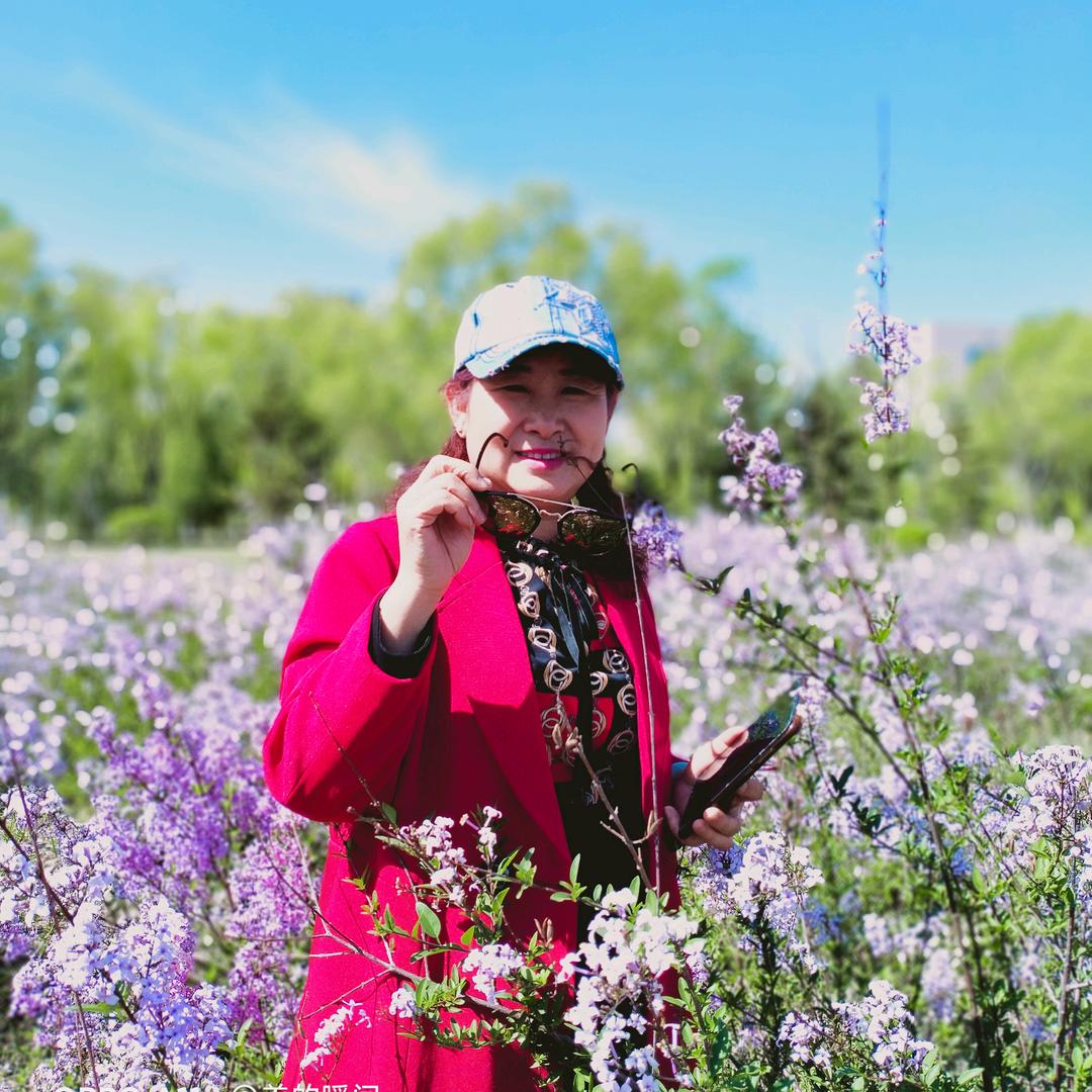 桃李春风ser70255