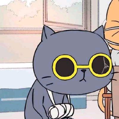 夜猫玩游戏