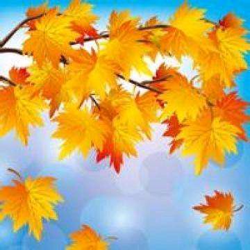 好人一生平安aaa