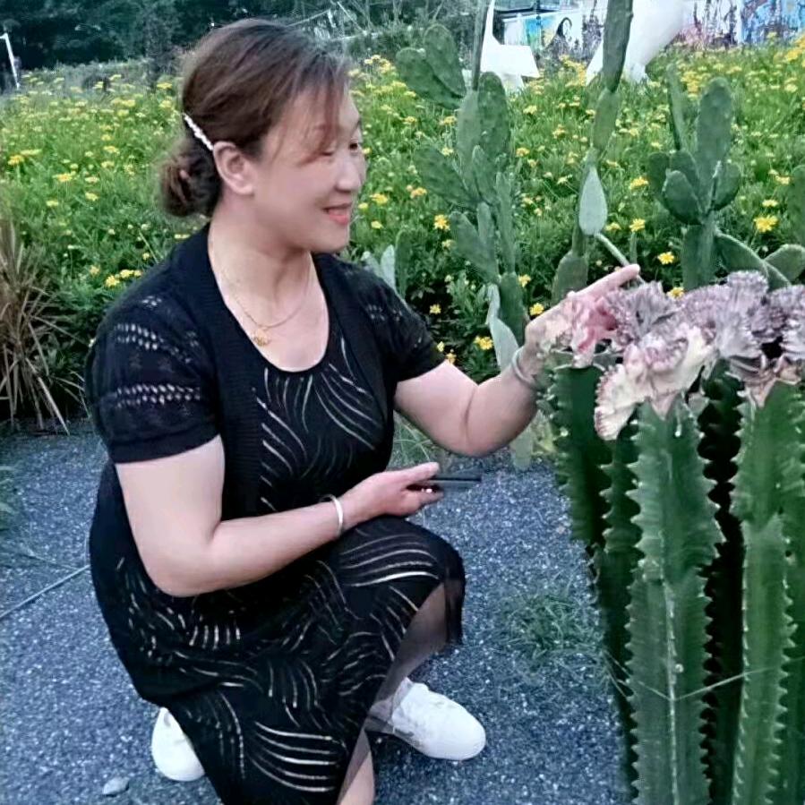 蒋姐