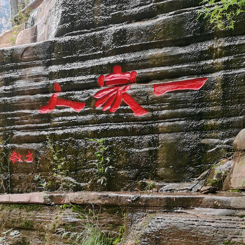 萌凯