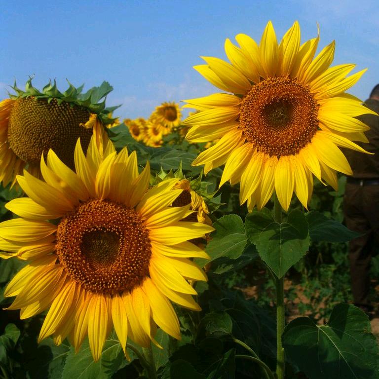 懂得珍惜才配拥有