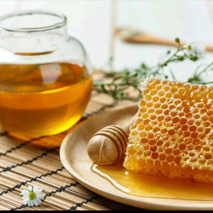 皇藏峪养蜂场--陈世珍