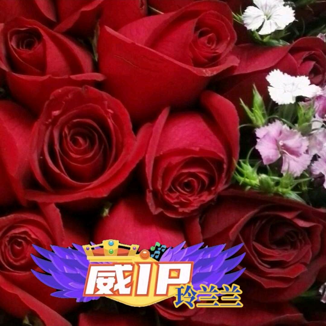 玲兰兰