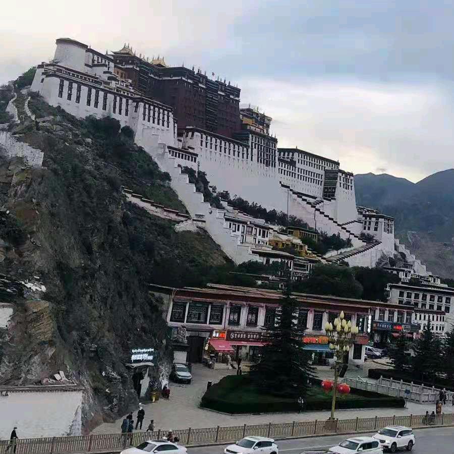 老大姐