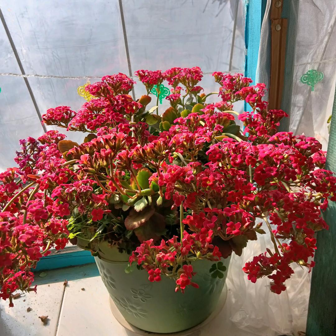 军哥，野钓江河。