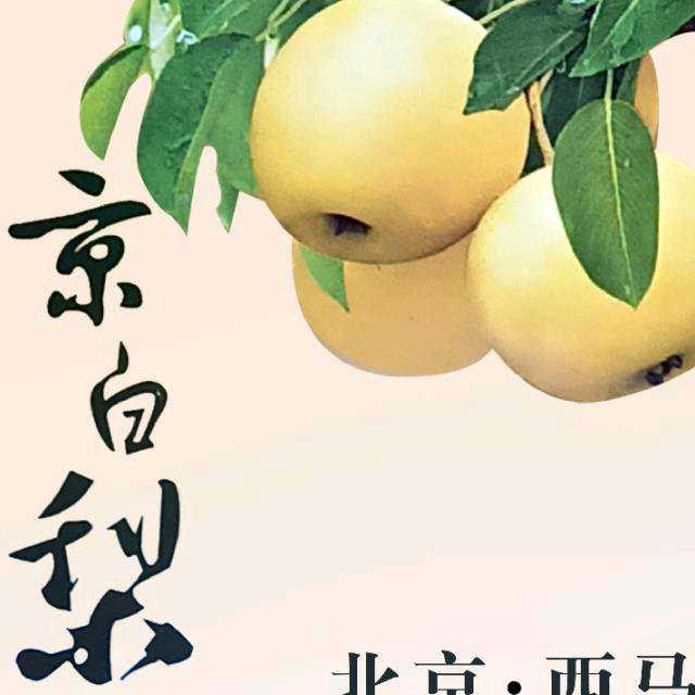 北京西马休闲农场