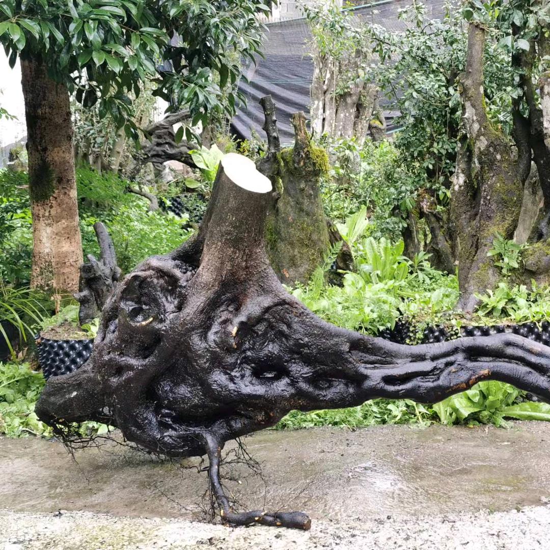 宏涯金弹子素材