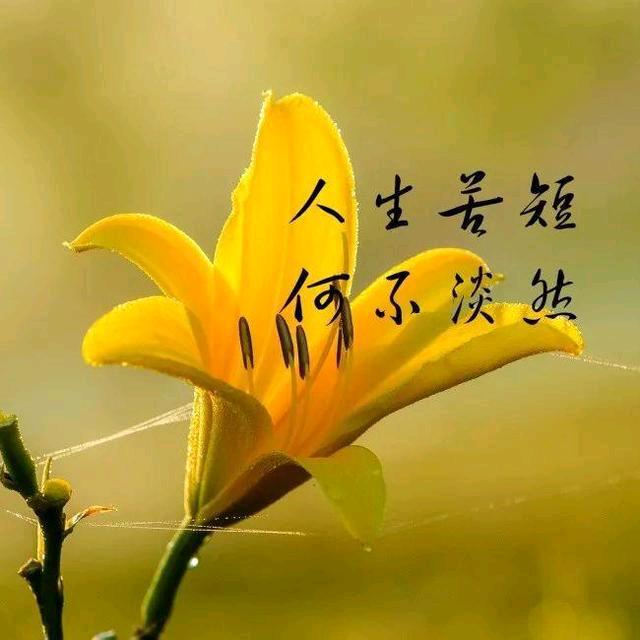 忍忍