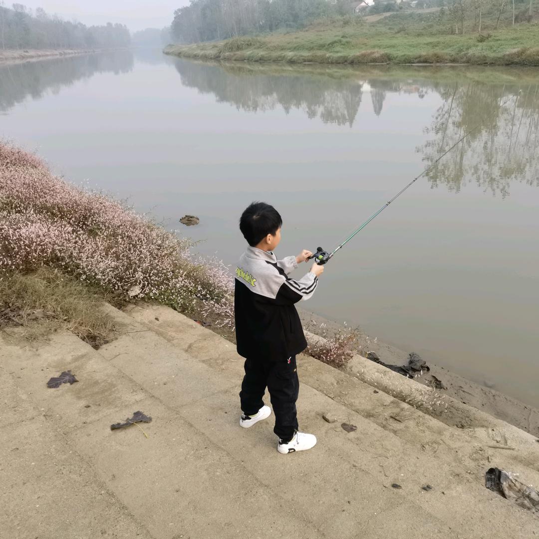 刘凌