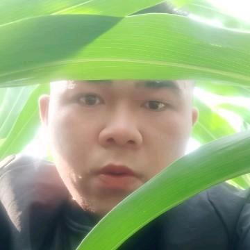 胖老弟