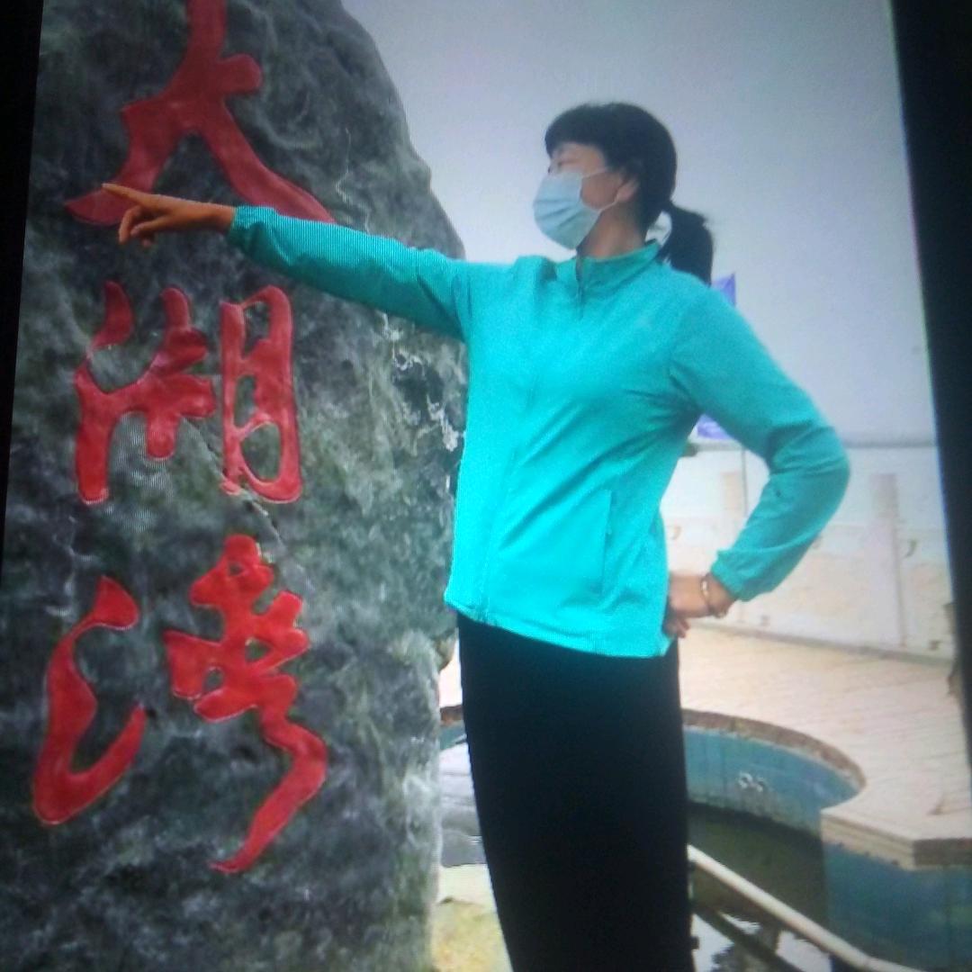 琴