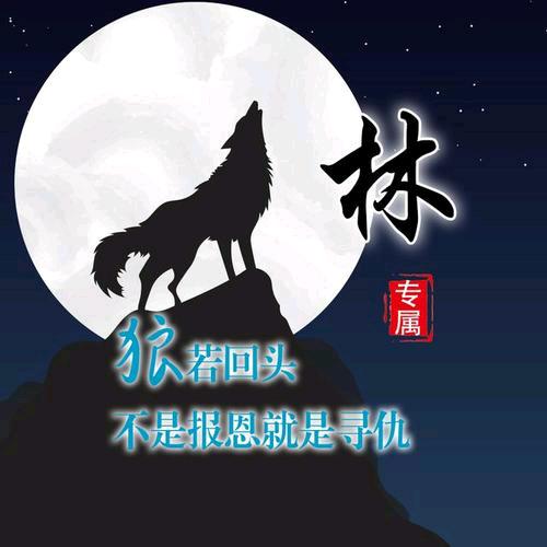 星辰大海Ծ‸ԾԾ‸Ծ