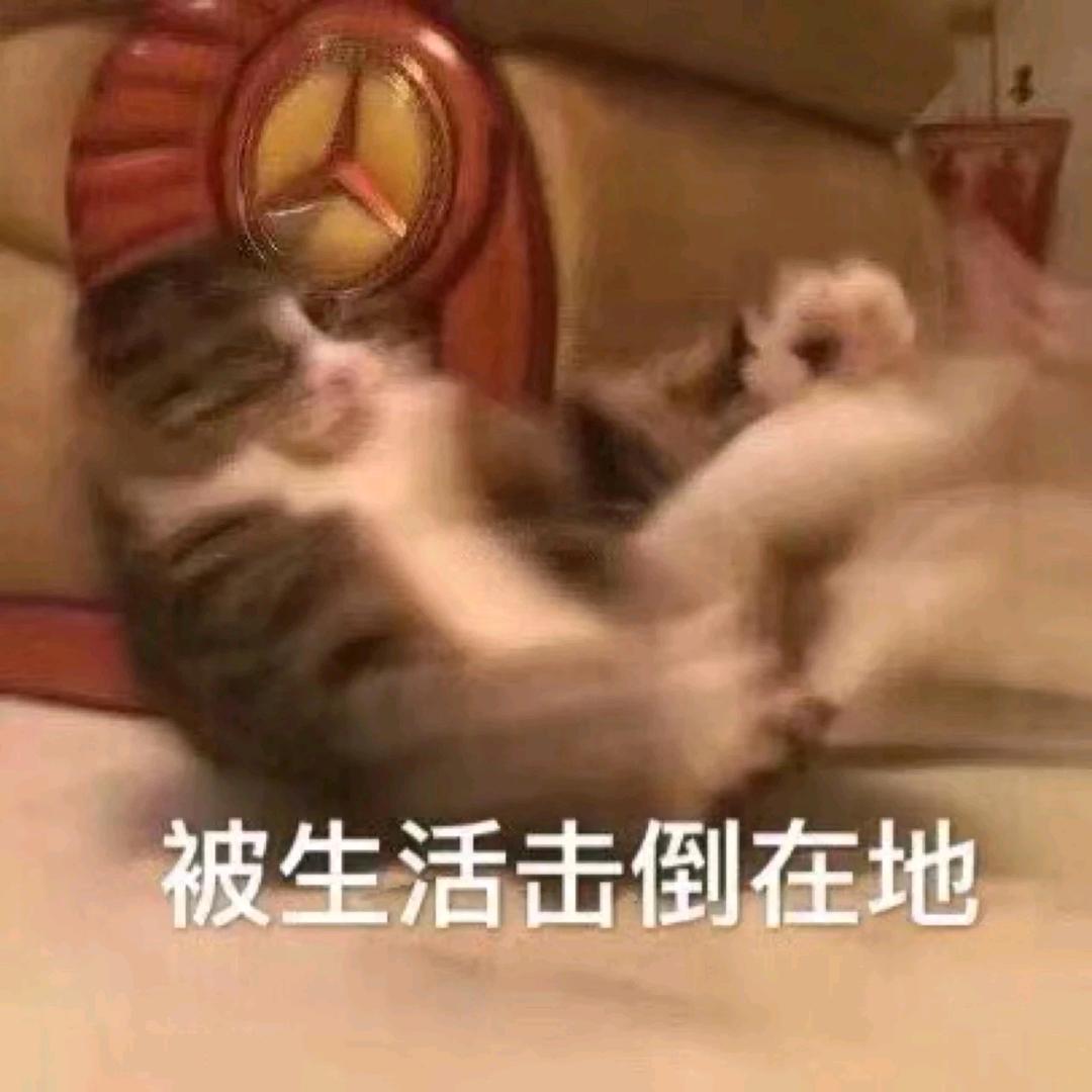 九九🍡（推文）