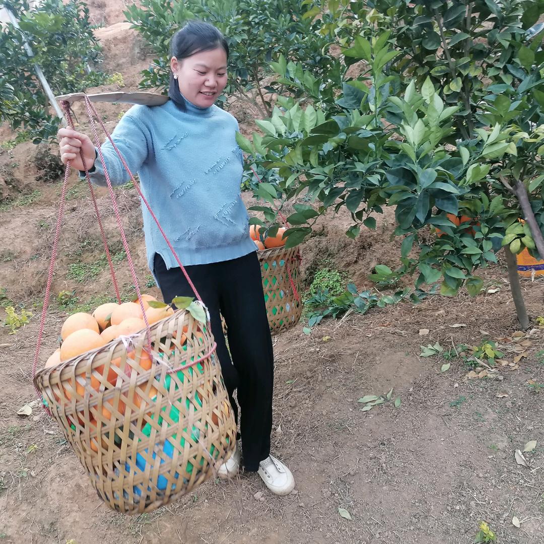 寻乌县水果篮子鲜果