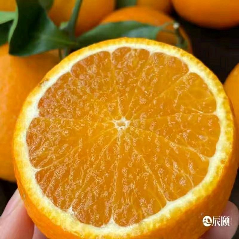 满粉🍋柠檬