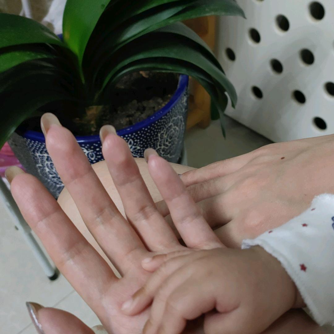 秀美河山，琴声悠扬