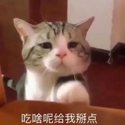 青青ept