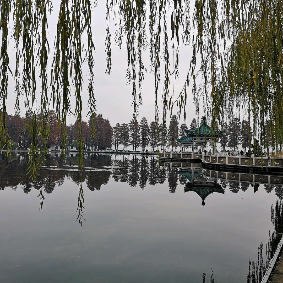 时光清浅