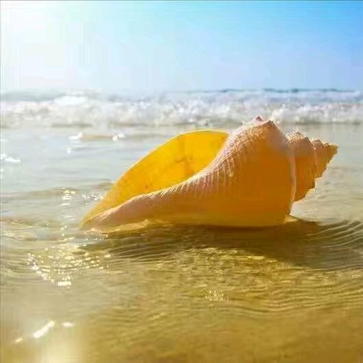 弓很Changjian更远