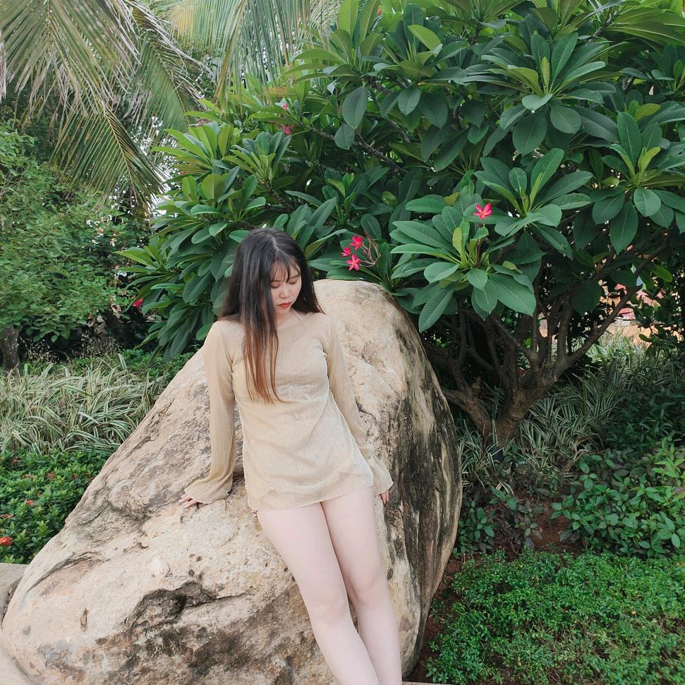 晨咪