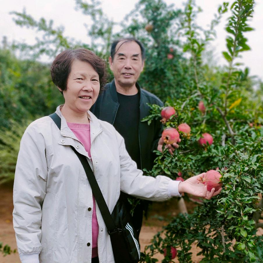 王敏（拒私聊）