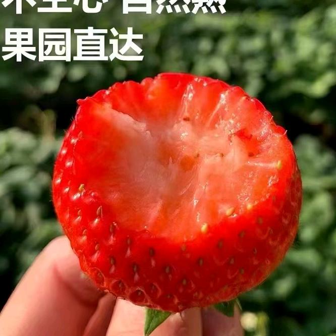 从地头到舌尖的新鲜（漯河市区免费送货）