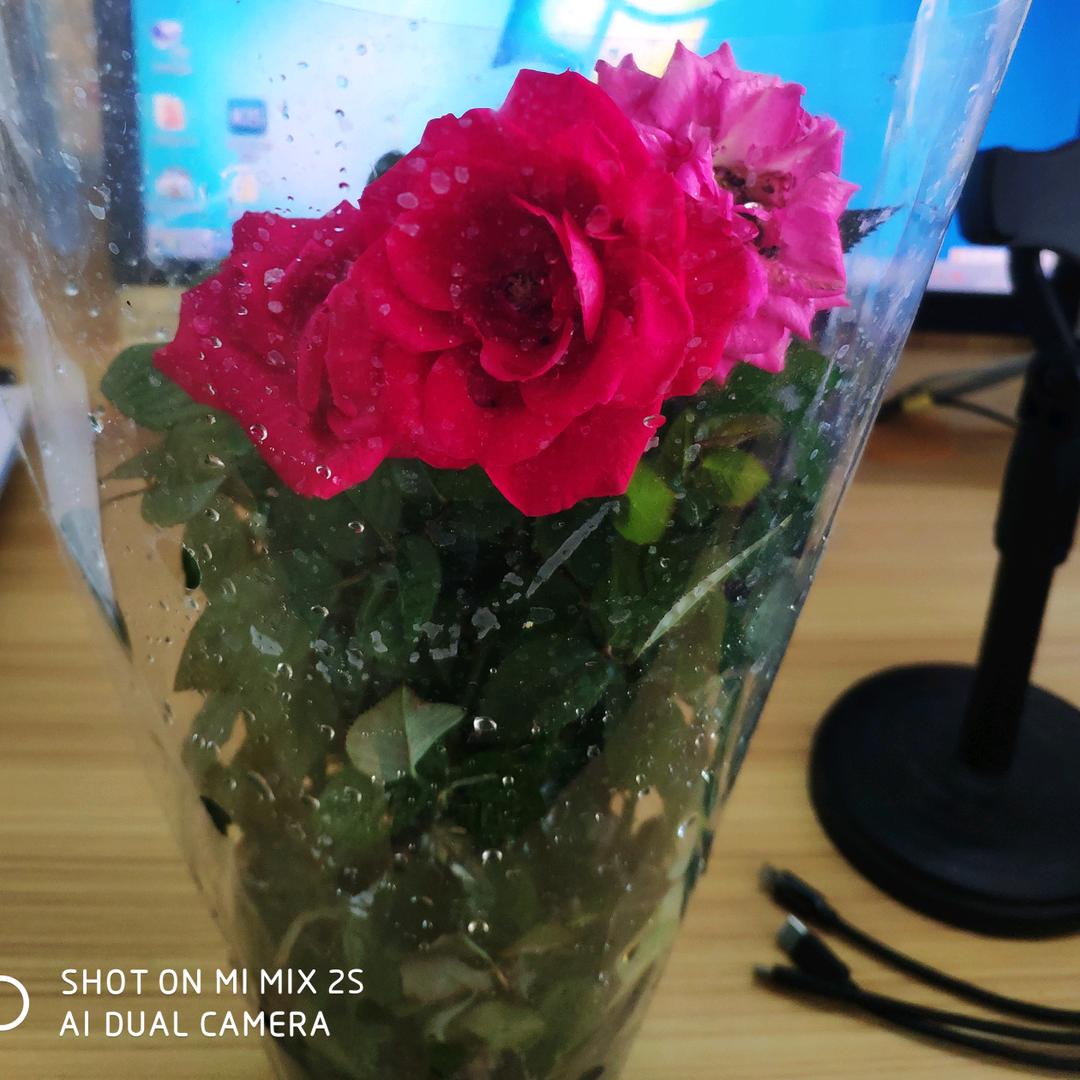 小芸(^_^) wendy