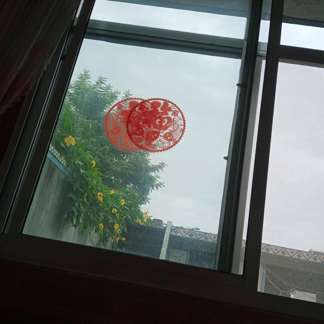 宋诒刚
