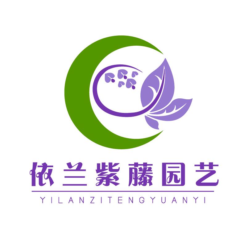 依兰紫藤园艺