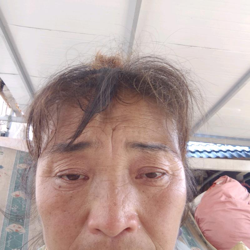 桔子花