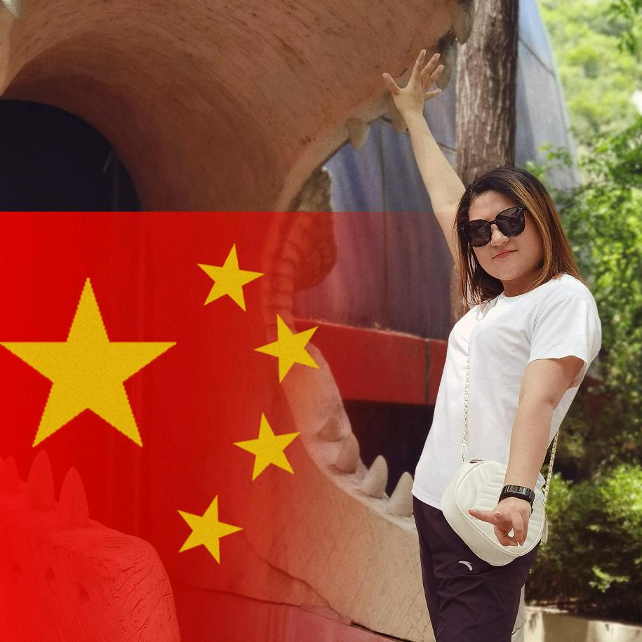小步调