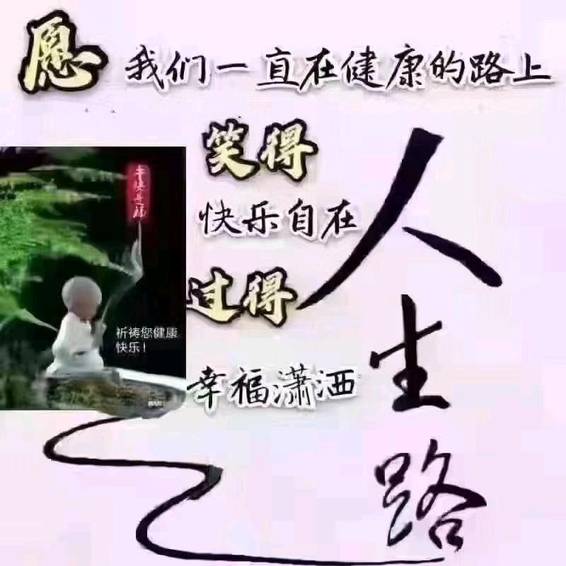 漂泊的人
