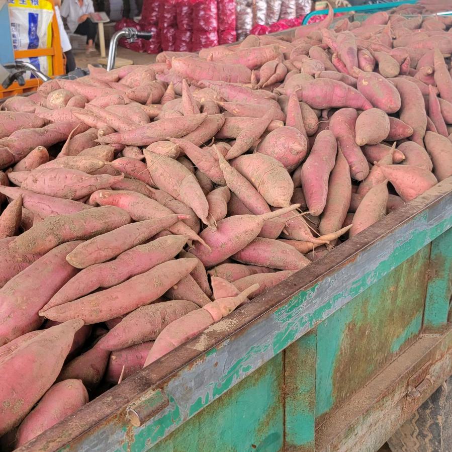 农优品代收合作社