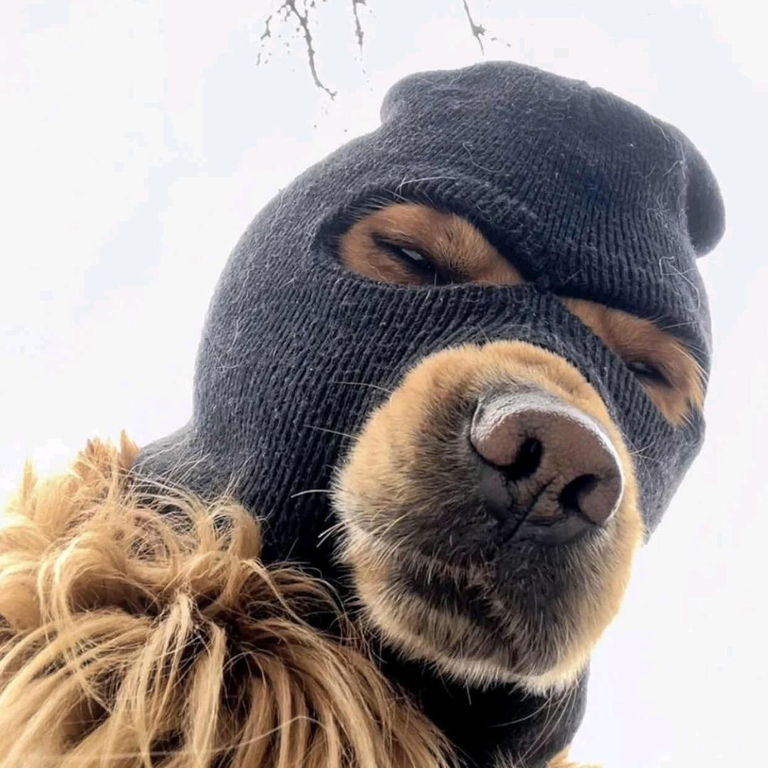 长矛粘屎戳谁谁亖