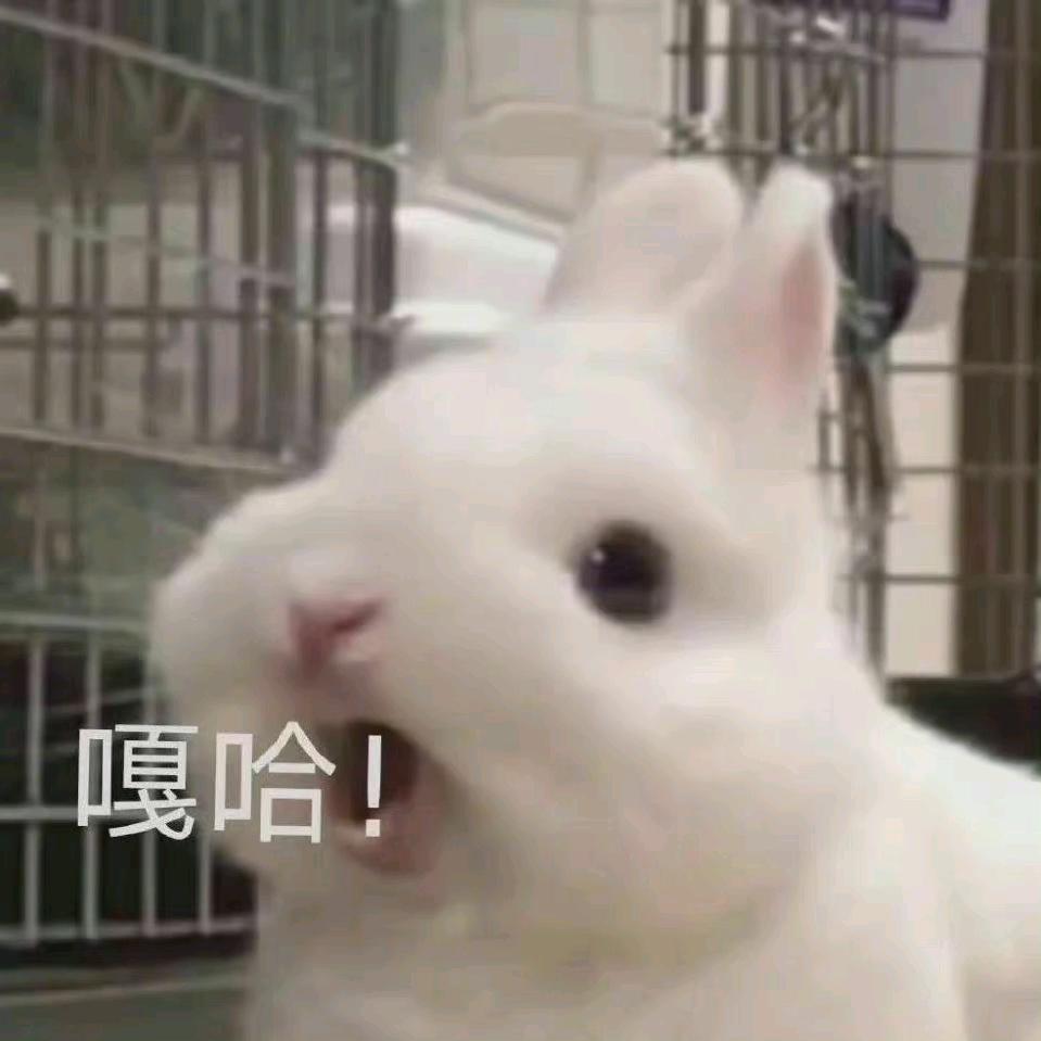 佳木木三玩游戏