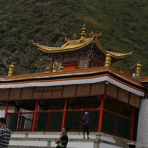 追求自己的梦想