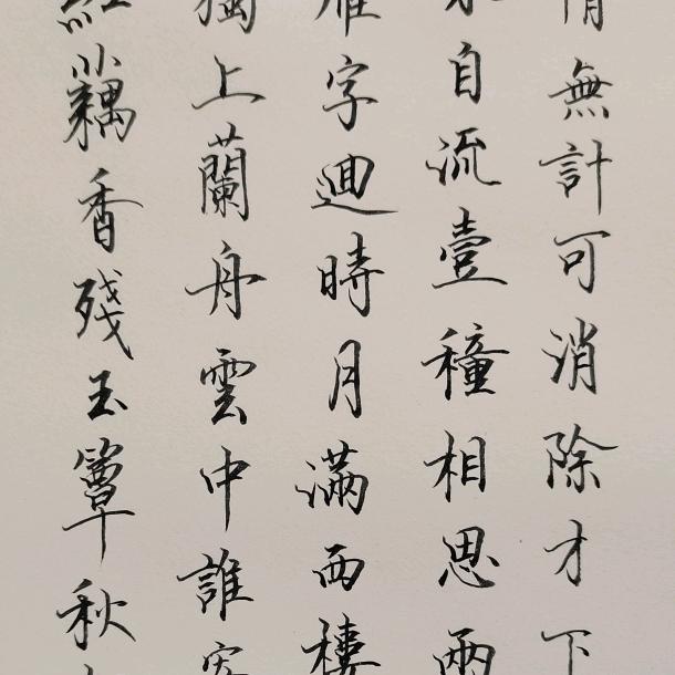 夏云衣的动画世界