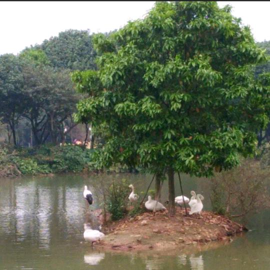 🇨🇳名扬天下🇨🇳