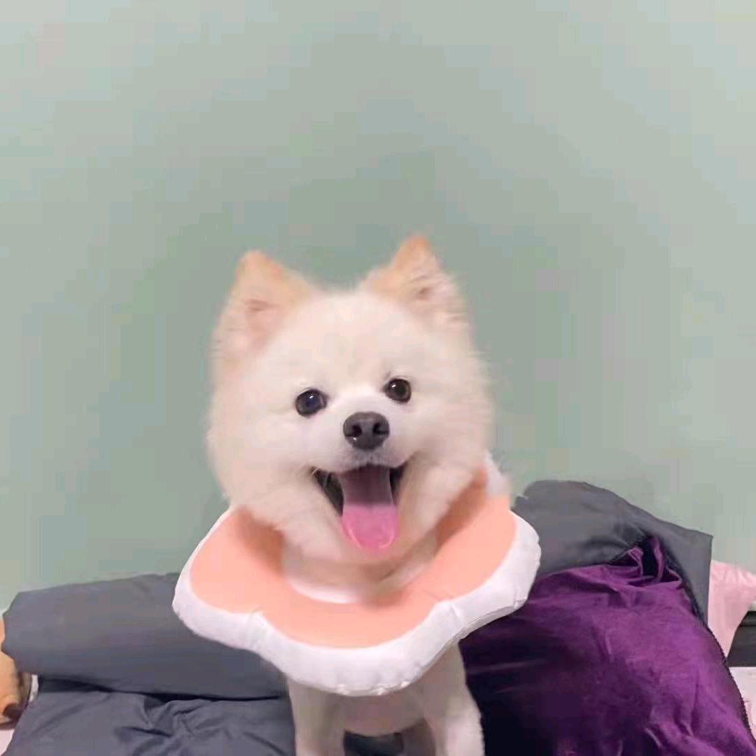 大斌妈妈