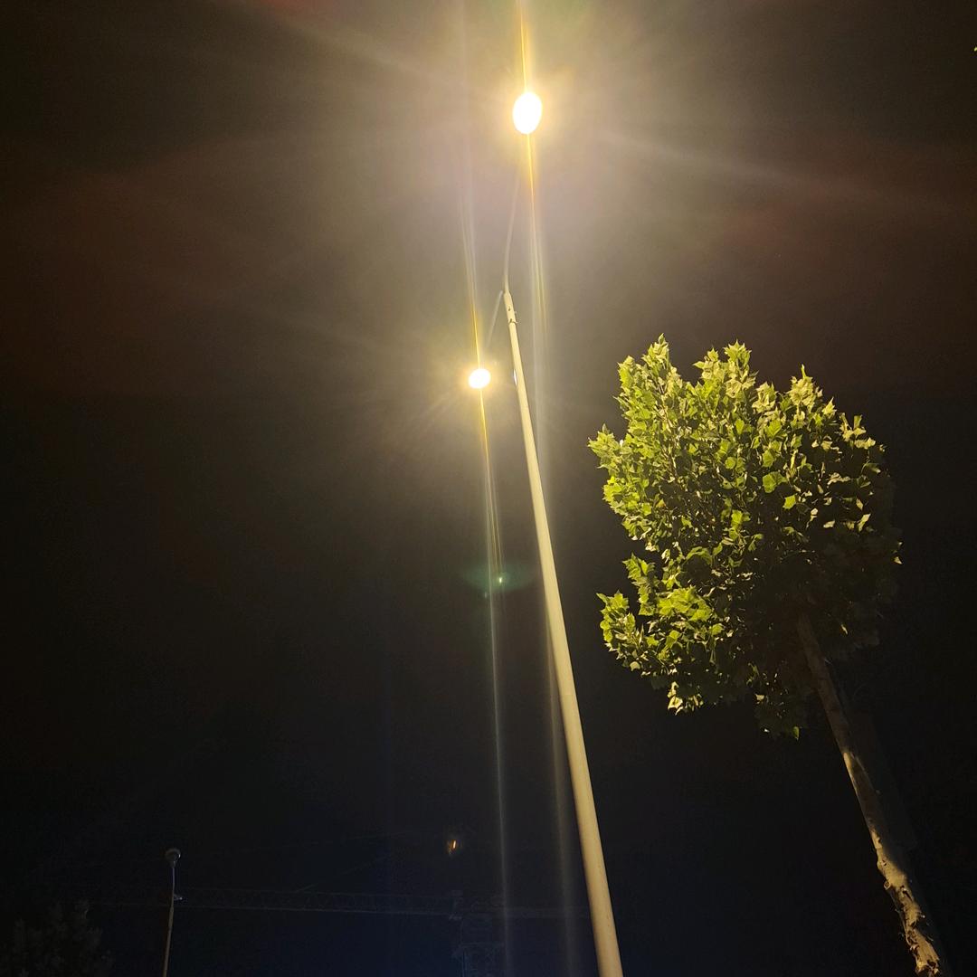 夜☪️寝